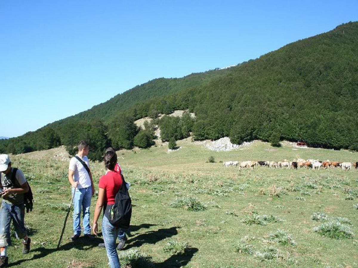 B&B Sole Del Pollino Rotonda Kültér fotó