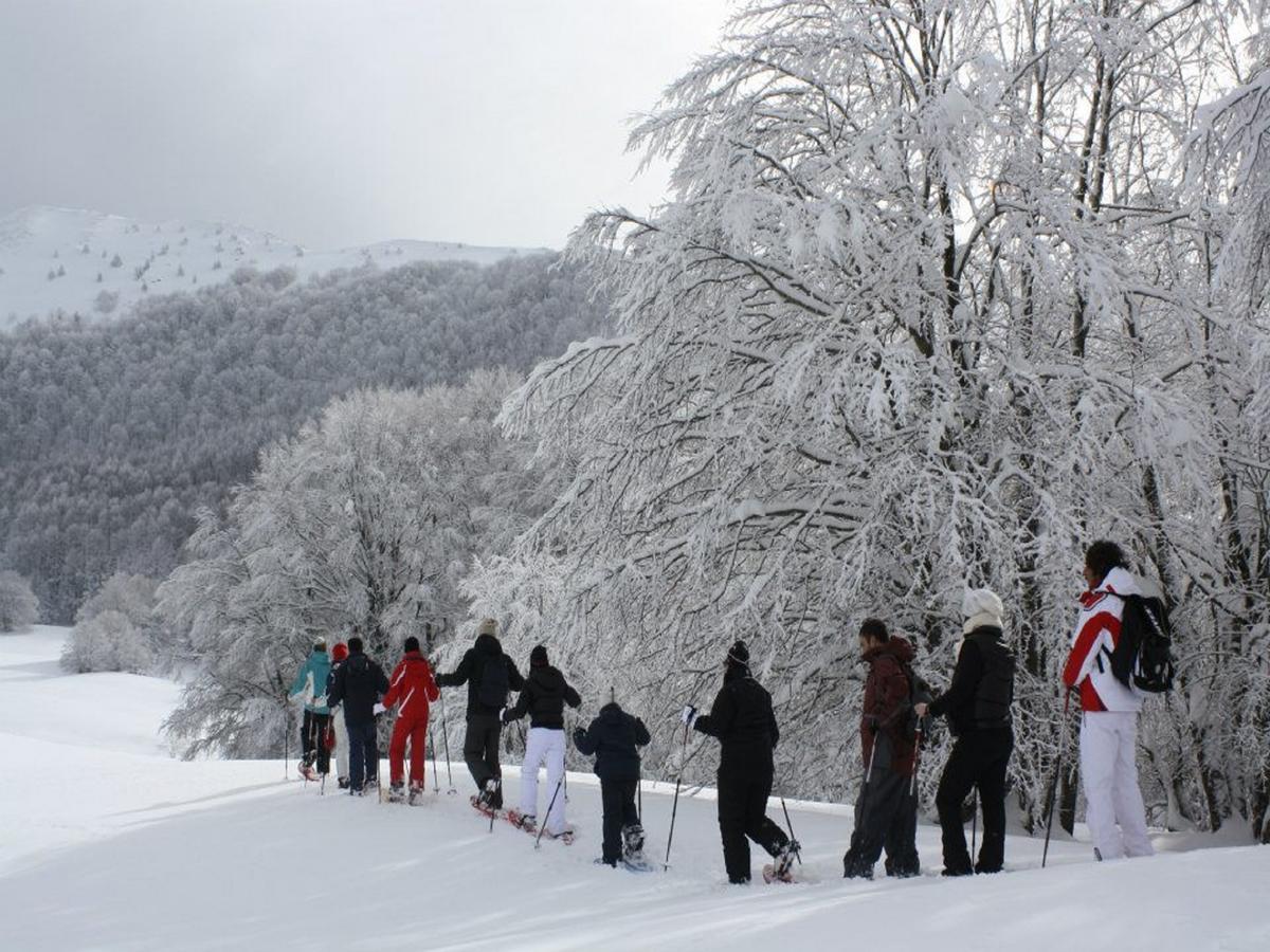 B&B Sole Del Pollino Rotonda Kültér fotó